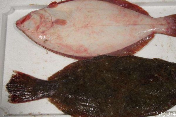 鱼嘴的营养价值及功效,小嘴鱼的功效和作用