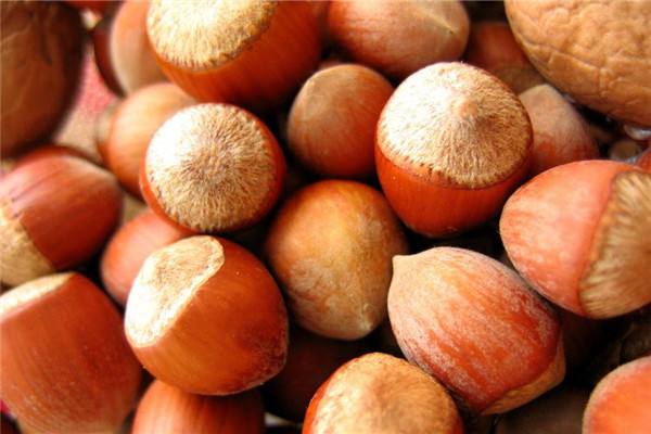 榛子一天吃多少合适,小孩吃榛子每天吃多少