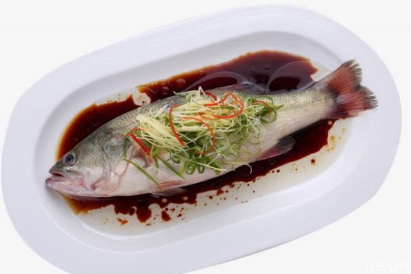 孕妇吃什么鱼比较好,孕妇吃什么鱼好对胎儿好