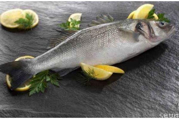 海鲈鱼和鲈鱼的营养价值,海鲈鱼营养价值高吗