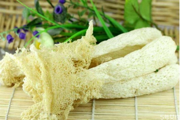 竹荪的营养价值,竹荪是什么东西有什么营养价值