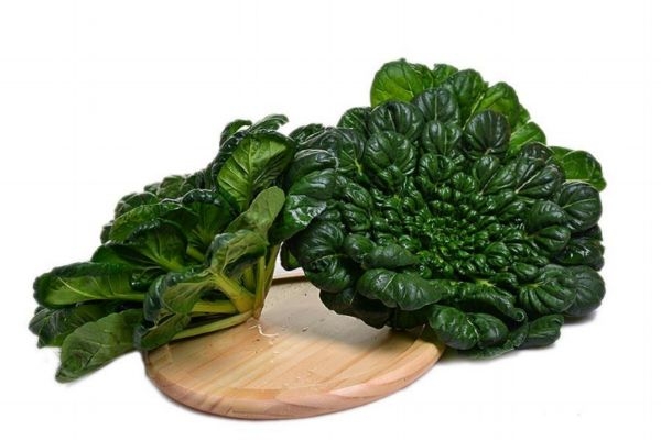 吃乌塌菜有什么好处,什么人不能吃乌塌菜