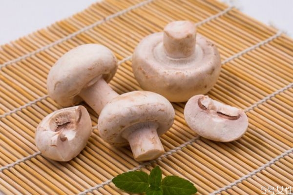 口蘑保质期多长时间,口蘑一般保存几天