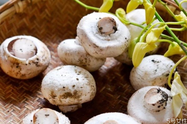 口蘑怎么做好吃呢,口蘑怎么做最好吃又简单