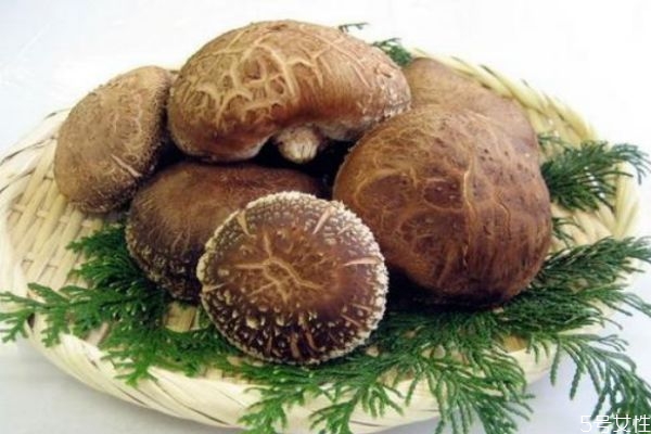 香菇怎样吃好吃又简单,香菇怎么做比较好吃