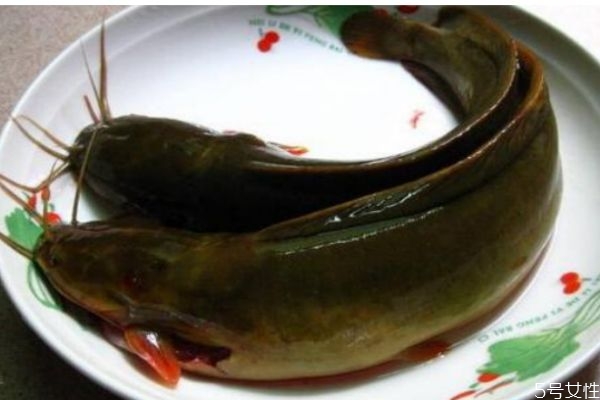 塘鲺孕妇可以吃吗,孕妇能吃塘鲺的功效和作用