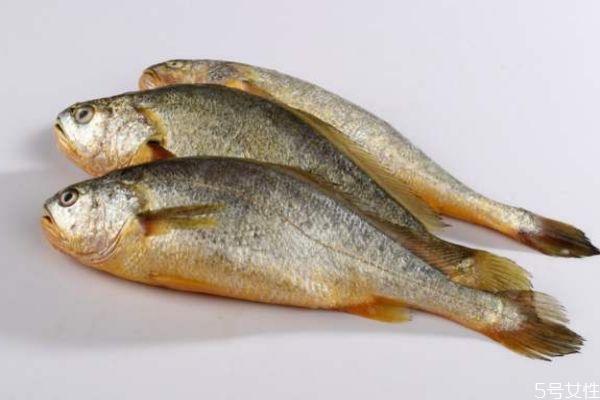 孕妇可以吃黄花鱼吗晚期,孕早期孕妇可以吃黄花鱼吗