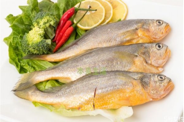 黄花鱼的营养价值禁忌,黄花鱼的营养价值及功效