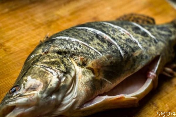 季花鱼的营养价值,季花鱼的功能及营养