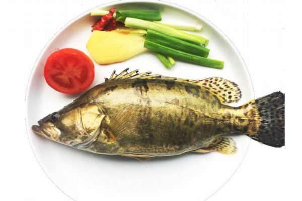 桂鱼的营养价值和功效,鳜鱼营养价值
