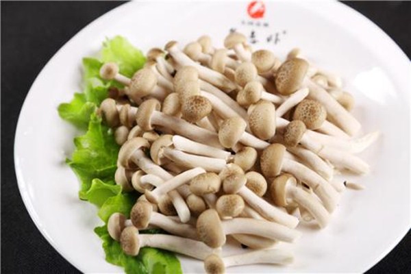 怎么挑选蟹味菇,蟹味菇好吃吗 怎么挑选蟹味菇,蟹味菇好吃吗