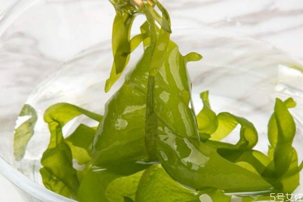 海白菜营养价值及功效,海白菜营养成分