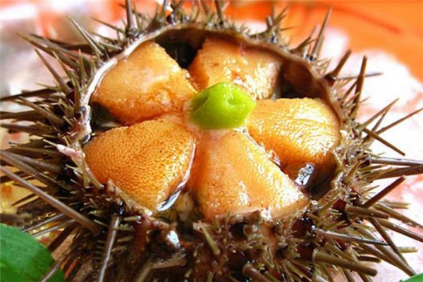 海胆刺身好吃吗,海胆刺身怎么吃才好吃