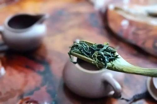 喝石崖茶有什么副作用,石崖茶功效和禁忌