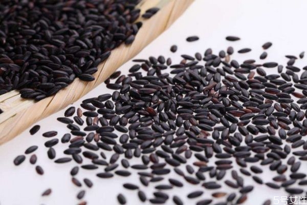 紫米和黑米有什么区别,黑米和紫米有什么不同及功效