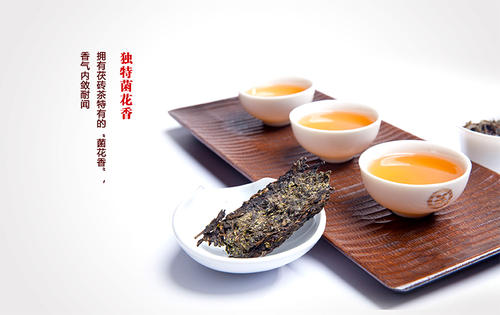 安化黑茶什么味道,安化黑茶的香气和口感