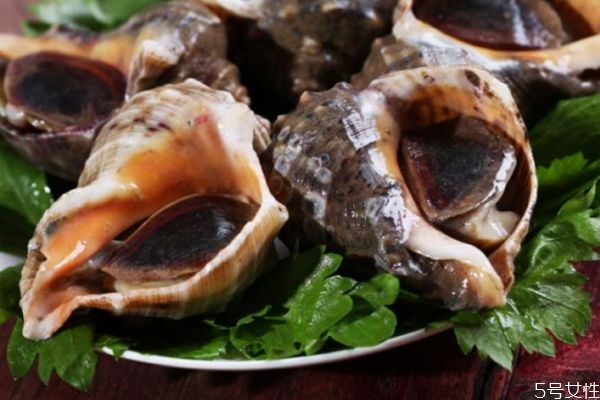 挑选海螺有什么技巧和方法,怎样挑选海螺