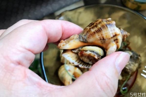 海螺要煮多久才会熟,海螺要多久煮熟