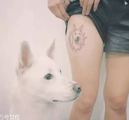 纹身为什么割水线,纹身什么是割线 纹身为什么割水线,纹身什么是割线