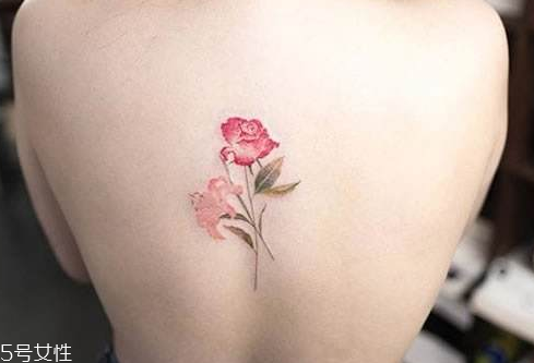 纹身小知识笔记,纹身小知识