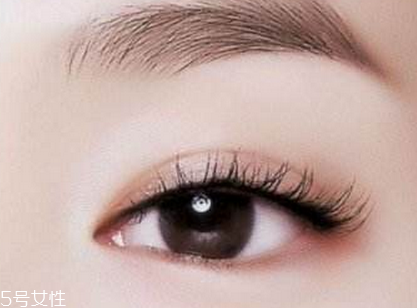 纹眉的特点是什么,纹眉的主要特征