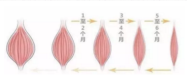 打瘦脸针可以维持多久,一针瘦脸针可以维持多久