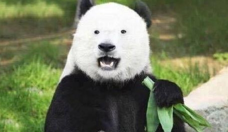 激光祛黑眼圈几天见效果,激光去黑眼圈要几次才能完全去除