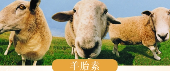 羊胎素和玻尿酸的区别,玻尿酸和羊胎素哪个抗衰老效果好 羊胎素和玻尿酸的区别,玻尿酸和羊胎素哪个抗衰老效果好