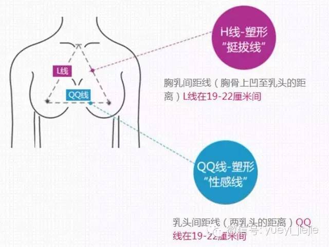 乳房健美的标准是什么?,完美胸型的标准 乳房健美的标准是什么?,完美胸型的标准