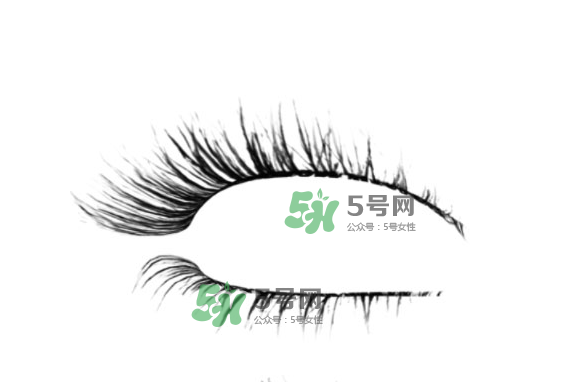 种睫毛掉了还会长吗,种睫毛睫毛掉了还会长吗