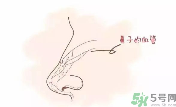 玻尿酸能填充鼻头吗,鼻尖能打玻尿酸