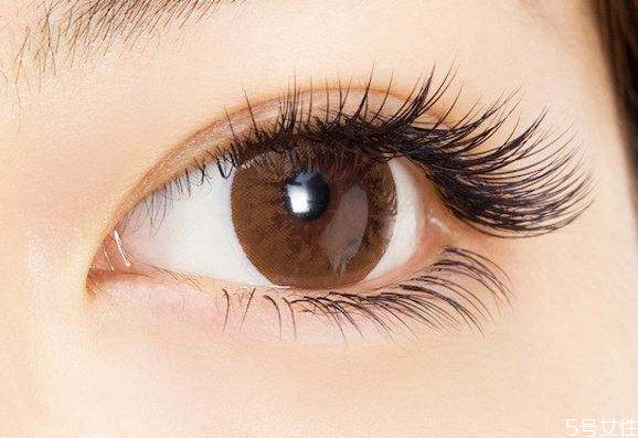 嫁接睫毛的种类 款式,睫毛嫁接哪种好看