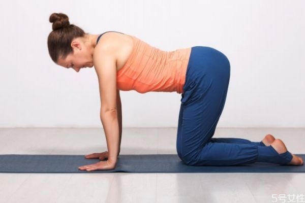缓解腰酸背痛的瑜伽动作,适合腰背疼痛的瑜伽动作