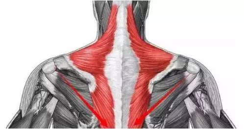 斜方肌变小的方法,如何使斜方肌变小 斜方肌变小的方法,如何使斜方肌变小