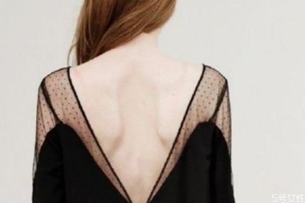 什么是蝴蝶骨,蝶骨的作用