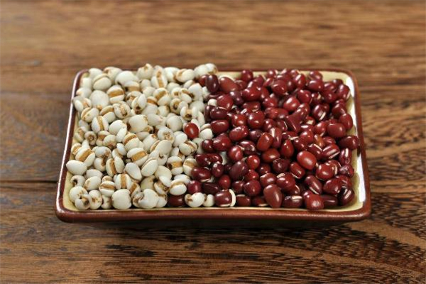 吃什么调理湿气肥胖,湿气肥胖怎么调理