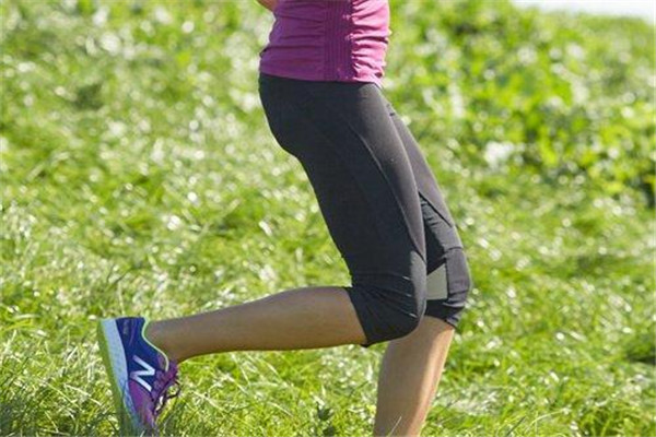 减肥期间能不能吃哈密瓜,减肥期间能吃哈密瓜瓜吗