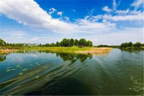 减肥怎么消除饥饿感,减肥出现饥饿感怎么办