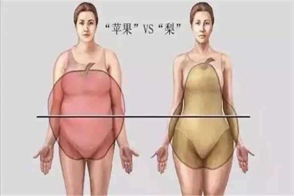 梨形身材形成原因,梨形身材是什么原因引起的