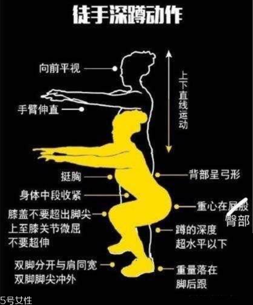 深蹲的标准动作视频,深蹲的标准动作一般一天做多少