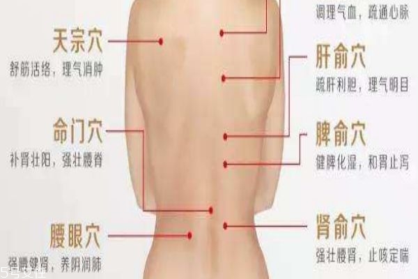 背部按摩减肥最有效方法 背部按摩减肥最有效方法