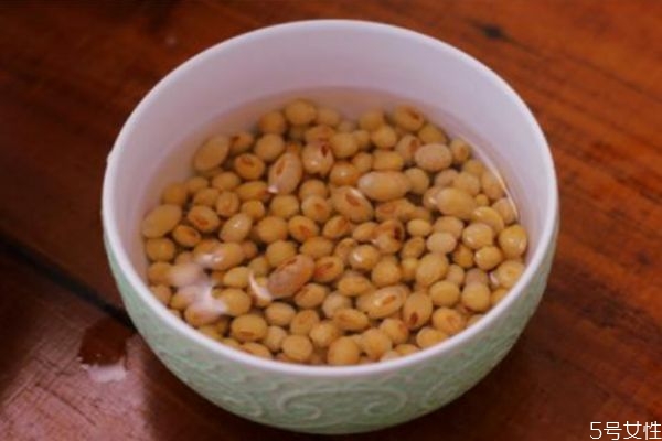 干豆和湿豆打豆浆的区别,干豆还是湿豆打豆浆好 干豆和湿豆打豆浆的区别,干豆还是湿豆打豆浆好