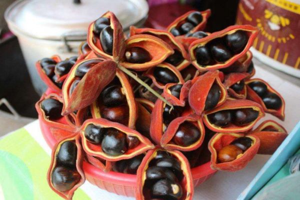 凤眼果怎么吃,凤眼果的功效和食用方法