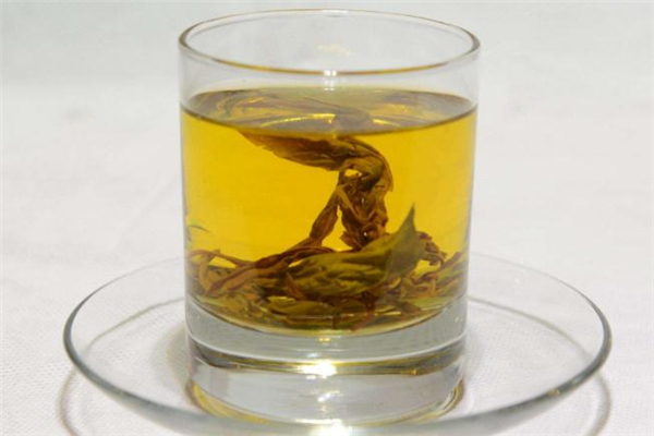 老鹰茶是红茶还是绿茶,老鹰茶属于红茶还是绿茶