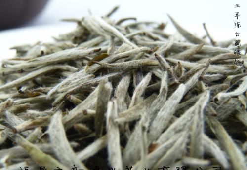 福鼎白茶需要醒茶吗,福鼎白茶要洗茶吗