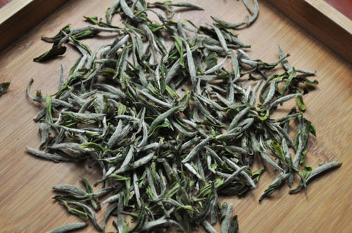 福鼎白茶什么人不能喝,福鼎白茶什么人不适合喝 福鼎白茶什么人不能喝,福鼎白茶什么人不适合喝