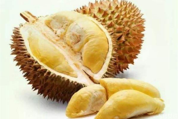 榴莲熟了是什么样的,榴莲熟透了