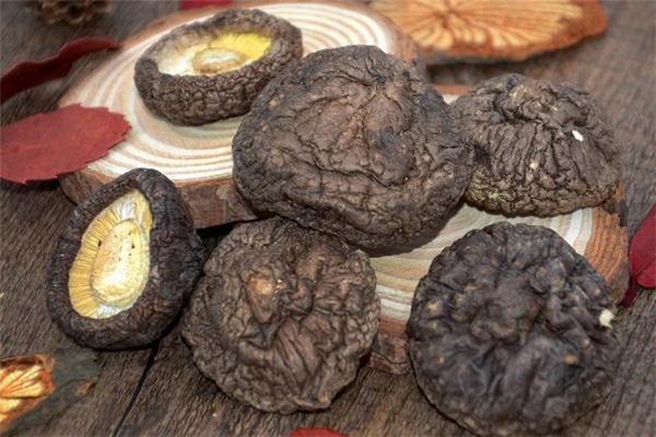 冬菇和香菇的区别图片,冬菇和香菇的区别图解