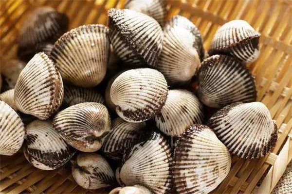 吃毛蚶会得甲肝吗,毛蚶为什么有甲肝 吃毛蚶会得甲肝吗,毛蚶为什么有甲肝