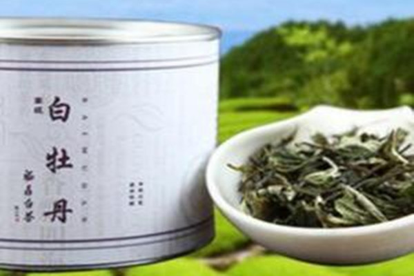 白牡丹茶减肥吗,喝白牡丹茶的好处 白牡丹茶减肥吗,喝白牡丹茶的好处